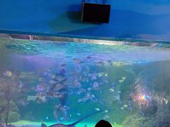 -常州海昌海洋探索馆