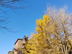 -辽宁大学(崇山校区)