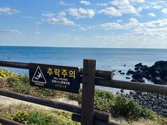 -涉地可支