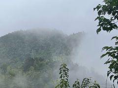-四明山国家森林公园
