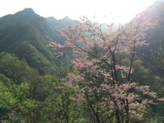 -老君洞旅游度假区
