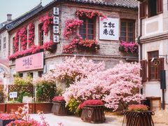 -烟台市博物馆