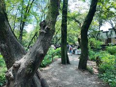 -西溪南古村落