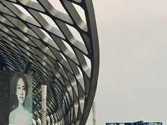 -华润深圳湾体育中心-“春茧” 体育馆