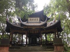 -峨眉山报国寺