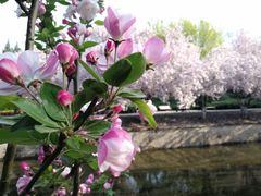 -元大都城垣遗址公园