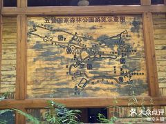 -五营红松林海景区