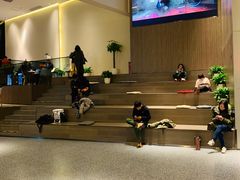 -深影国际影城(学院南路店CGS中国巨幕店)