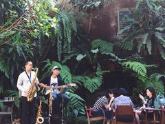 -Fern Forest Cafe