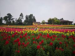 -保利石象湖景区