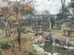 -武汉动物园