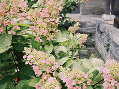 -赵尔巽公馆-旧址