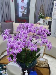 -上海漾颜医疗美容