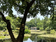 -杭州植物园