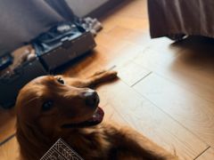 -成都雅诗阁来福士