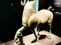 -广西壮族自治区博物馆