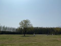 -黄海国家森林公园