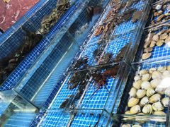 -江杨农产品批发市场