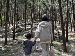 -云龙湖旅游景区