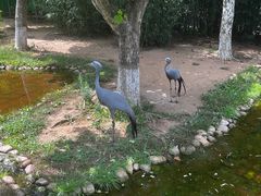 -西霞口神雕山野生动物世界