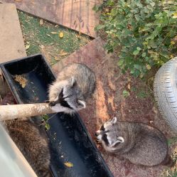 -萌宠亲子动物乐园(槐房万达店)