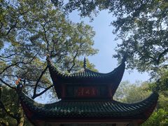 -湖南大学-第5食堂
