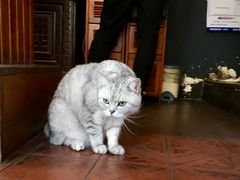 -不舍昼夜咖啡馆