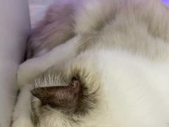 -极木²邸 人与宠物·互动社区