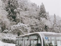 -龙苍沟森林公园
