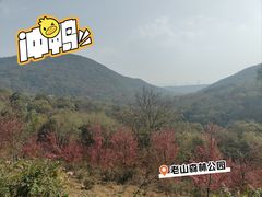 -南京老山国家森林公园