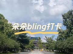 -红梅公园