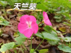 -广州市白云山风景名胜区