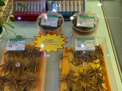 -同济堂药房连锁·中医院(正新街店)