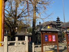 -上海青龙寺