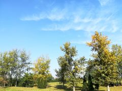 -汉长安城未央宫国家考古遗址公园