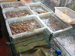 -渔乐里(智荟城店)