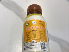 -德禄酸奶(莫家街店)