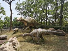 -上海海湾国家森林公园