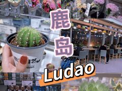-鹿岛生活(熙地港店)