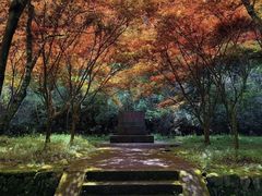 -五泄景区