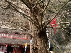 -大慈岩风景区