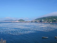 -枸杞岛