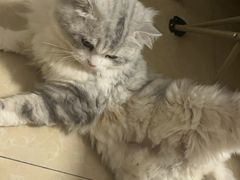 -联合动物医院(光谷诊疗中心)
