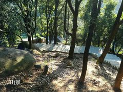 -火炉山森林公园