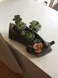 -韵绮产后修复中心(青浦宝龙广场店)