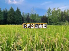 -北坞公园