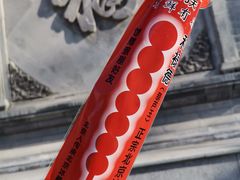 -和禄德冰糖葫芦