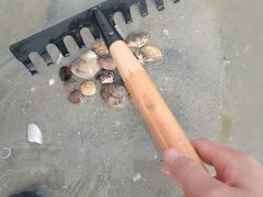 -北海金海湾红树林生态旅游区