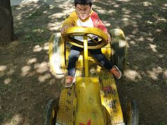 -宿豫区运河湾森林动物园