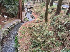 -东明山森林公园
